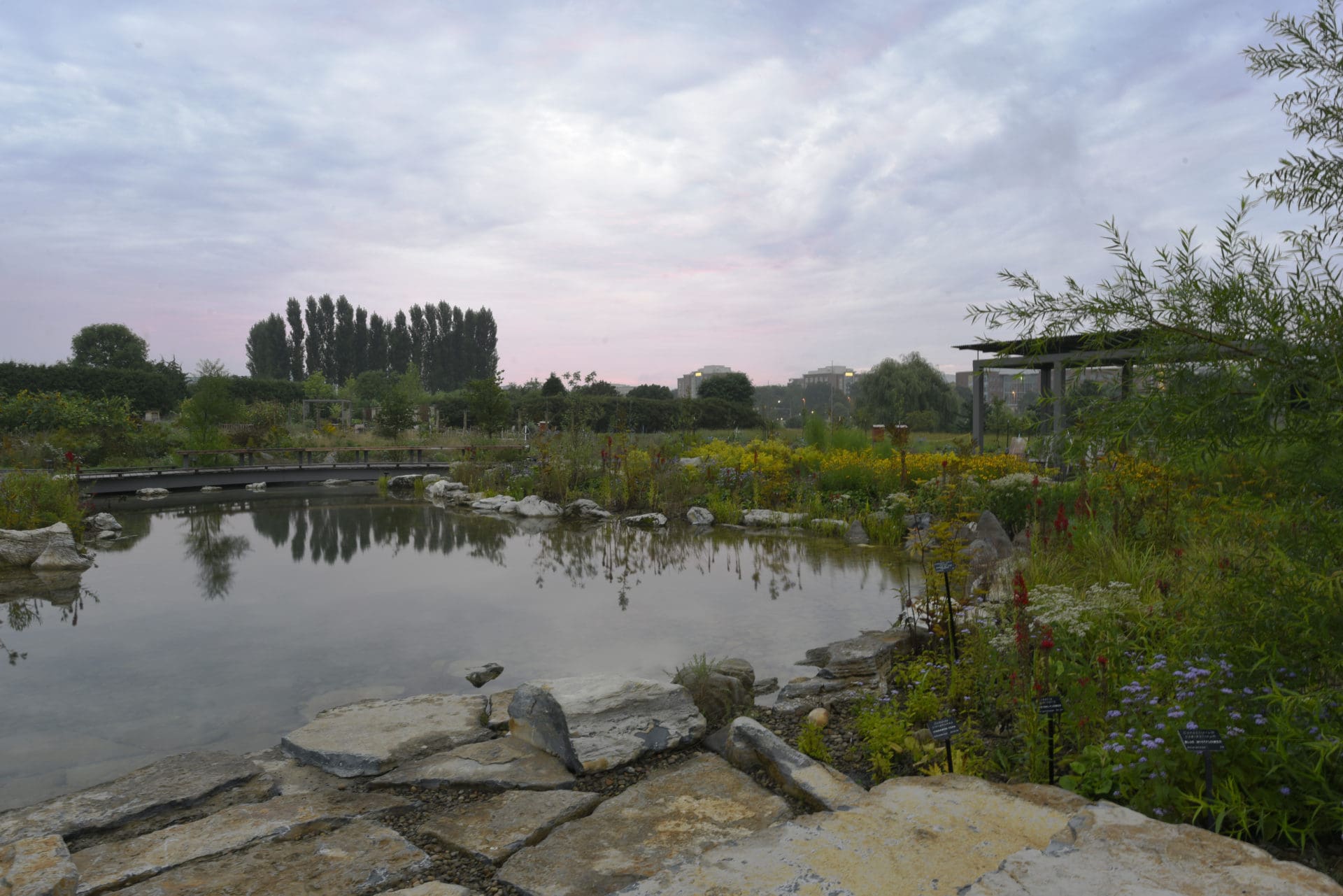 Pollinator and Bird Garden opens in The Arboretum at Penn State